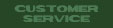 Customer Service